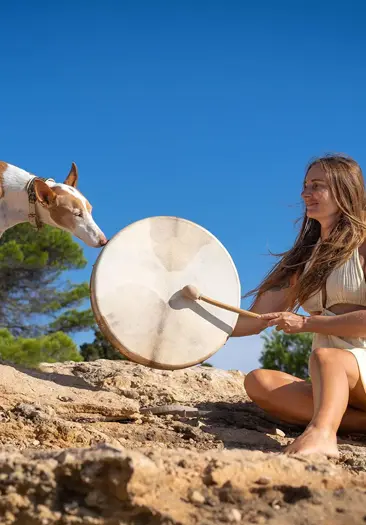 Schamanische Trommel und hund riecht an dieser