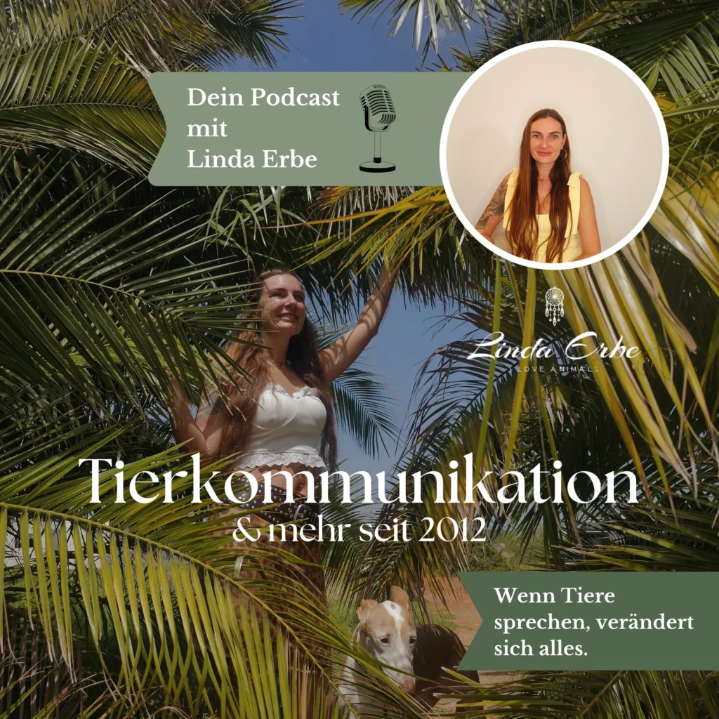 Frau und Hund in Palmen fotografie