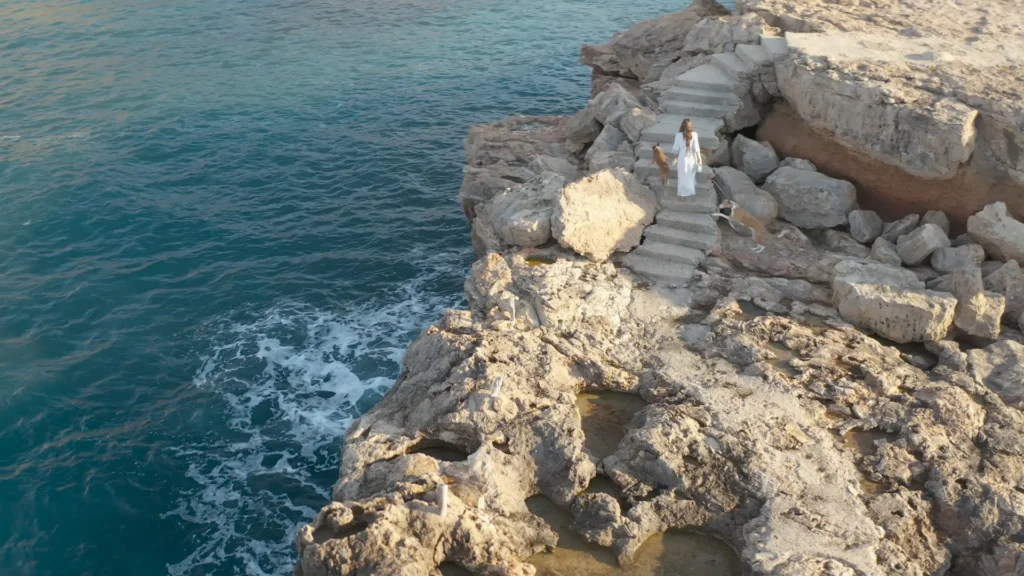 Steintreppe und Hunde